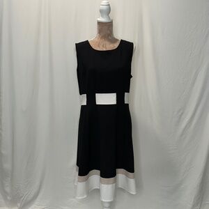 Calvin Klein Women’s Dress, black white tan, stripe,